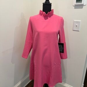 NWT Tuckernuck Dress Hot Pink Daphne Ruffle Collar Swing Mini - size Small